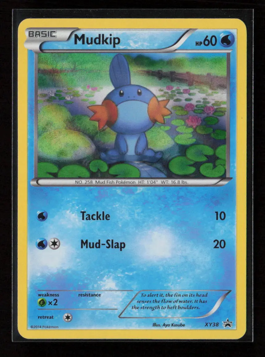 Mudkip - Promo Xy Promos Xy38 Lp 1