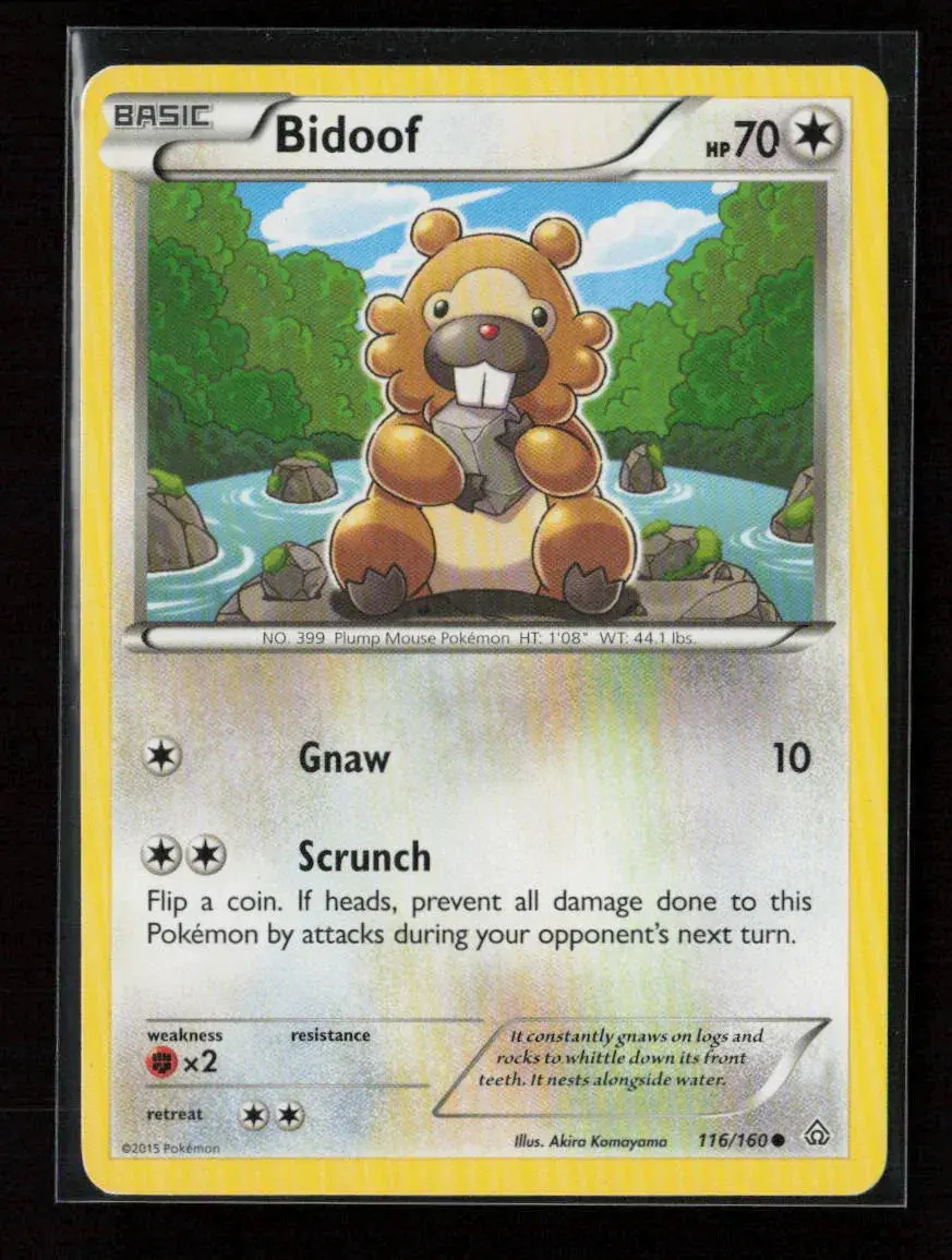 Bidoof Common Xy - Primal Clash 116/160 Nm 1