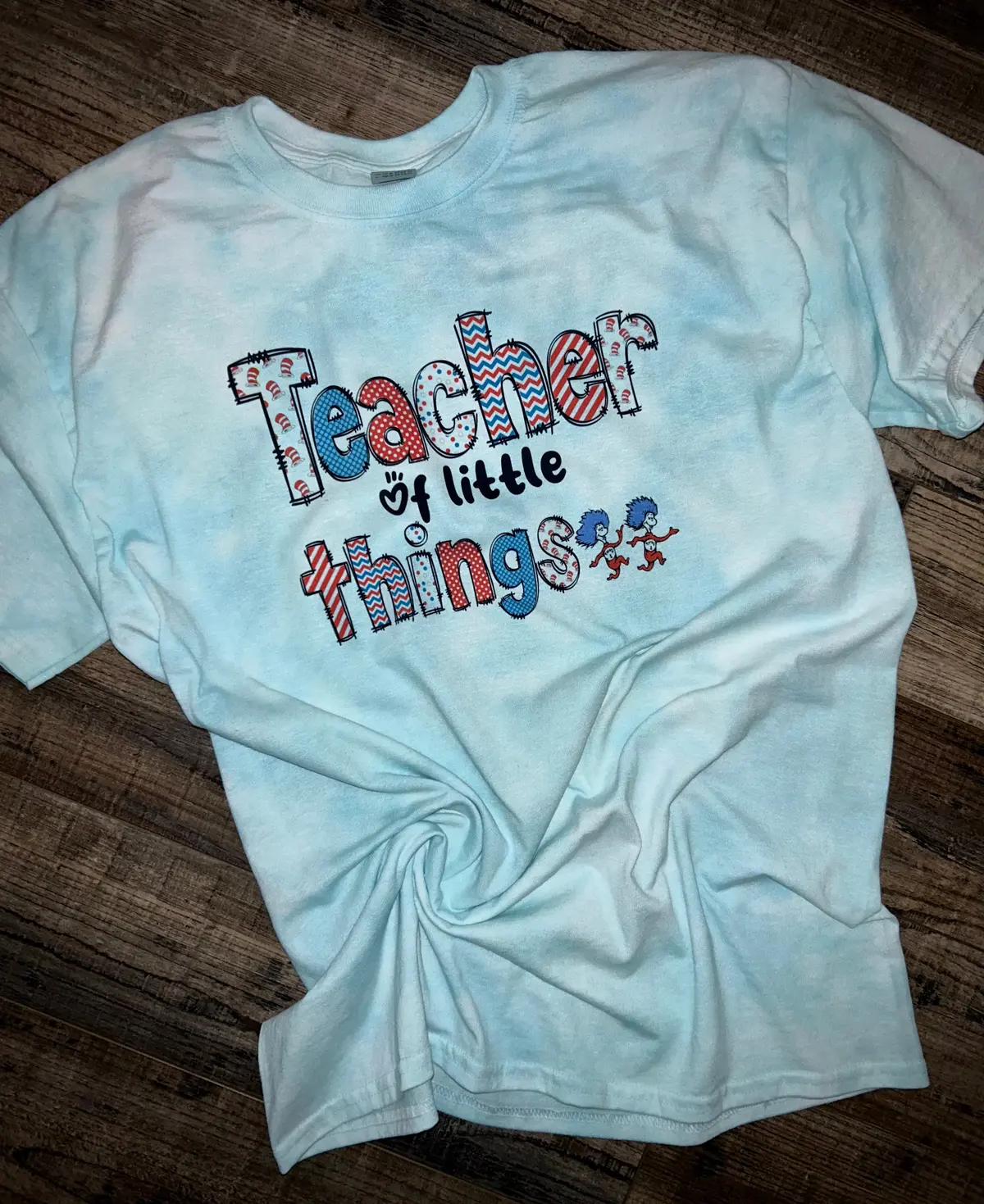 Teacher Of Little Things 1