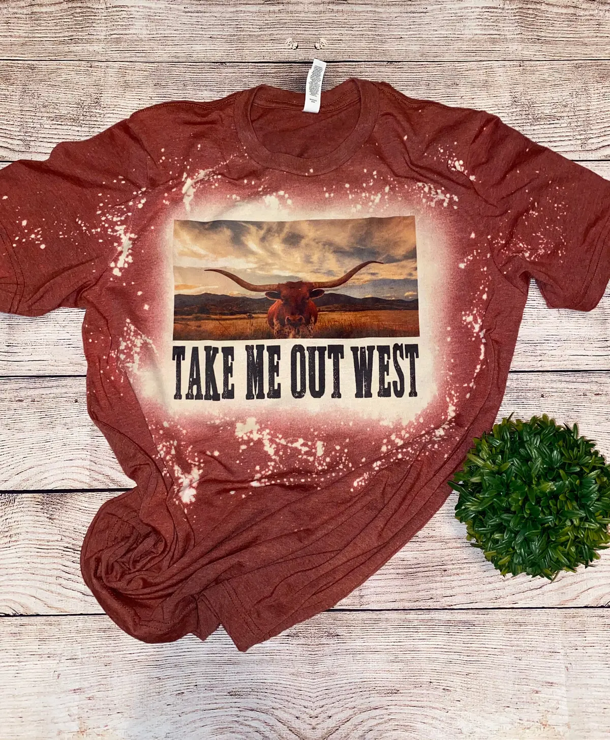 Take Me Out West 1
